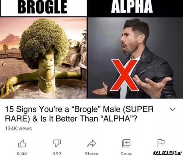 BROGLE ALPHA 15 Signs...