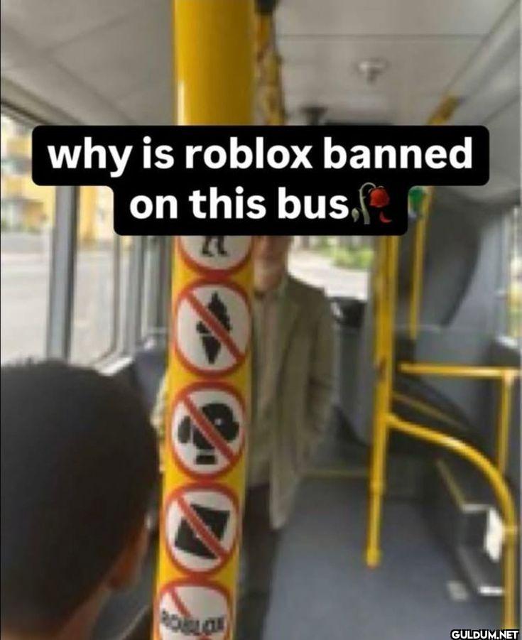 why is roblox banned on this bus.