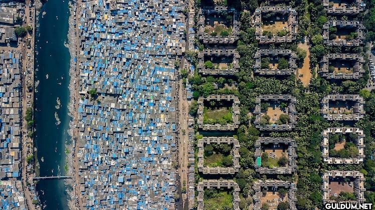 5. A slum lines the Mithi...