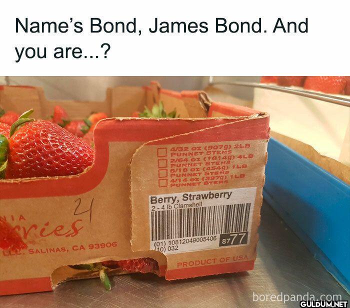 Name's Bond, James Bond....