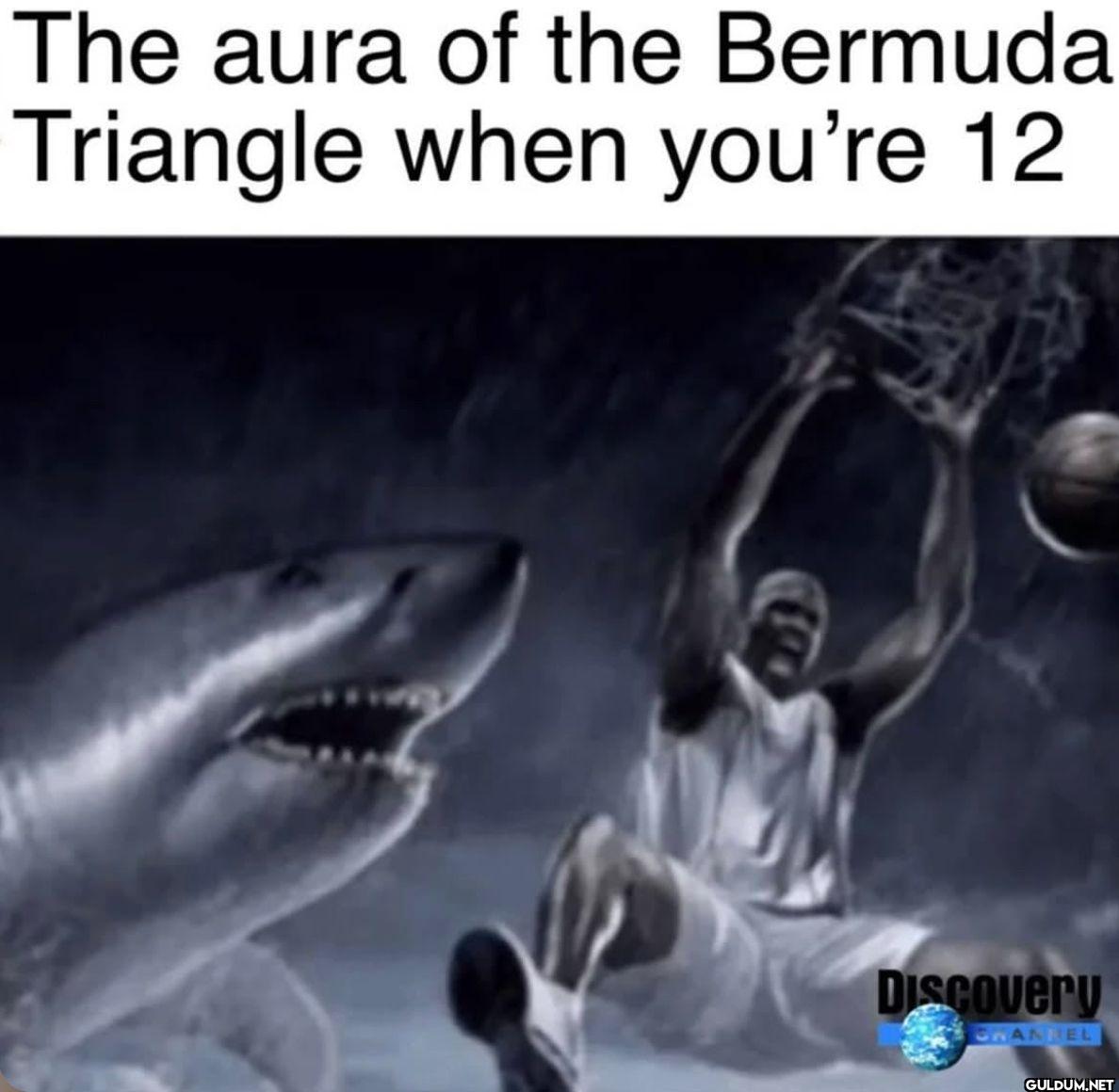 The aura of the Bermuda...
