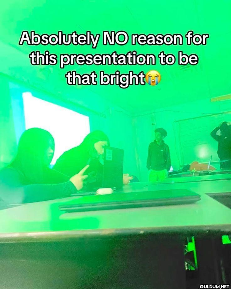 Absolutely NO reason for...