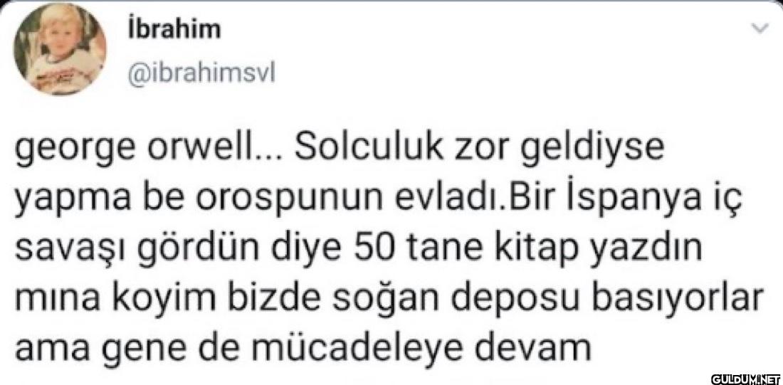 george orwell... Solculuk...
