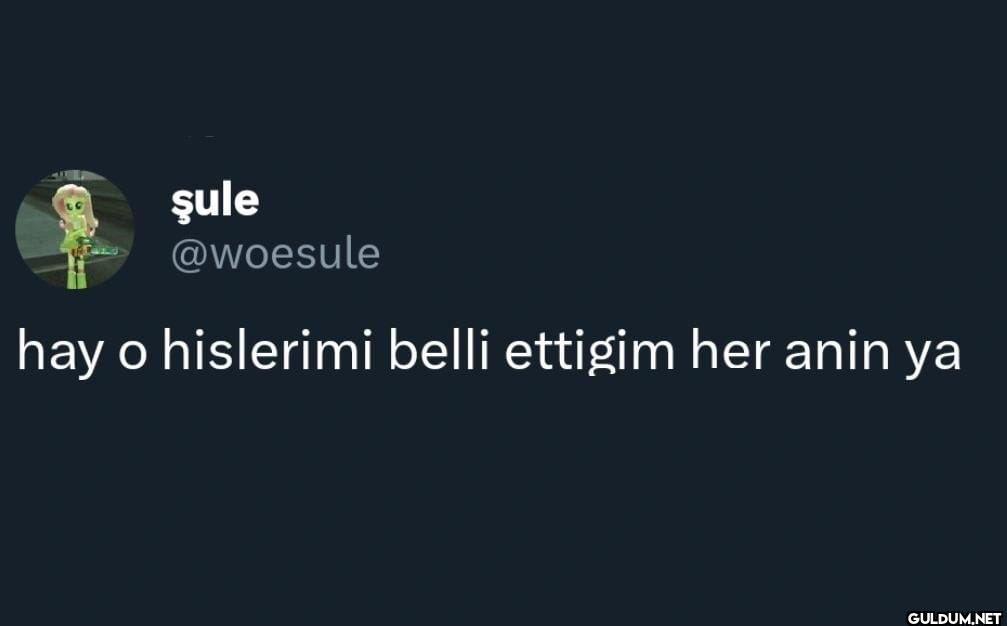 hay o hislerimi belli...