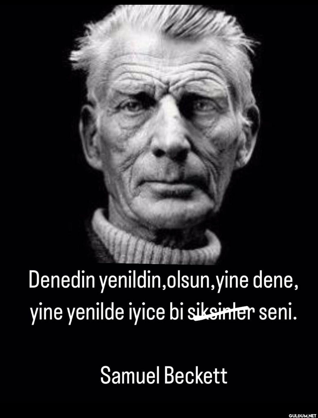 Denedin yenildin, olsun,...