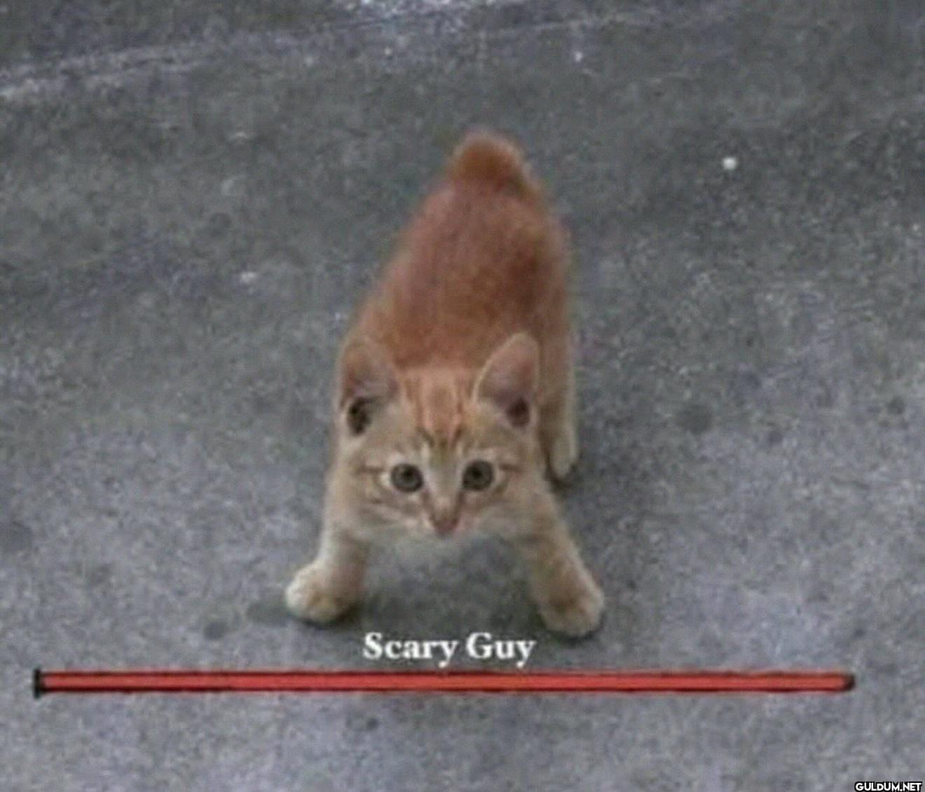 Scary Guy
