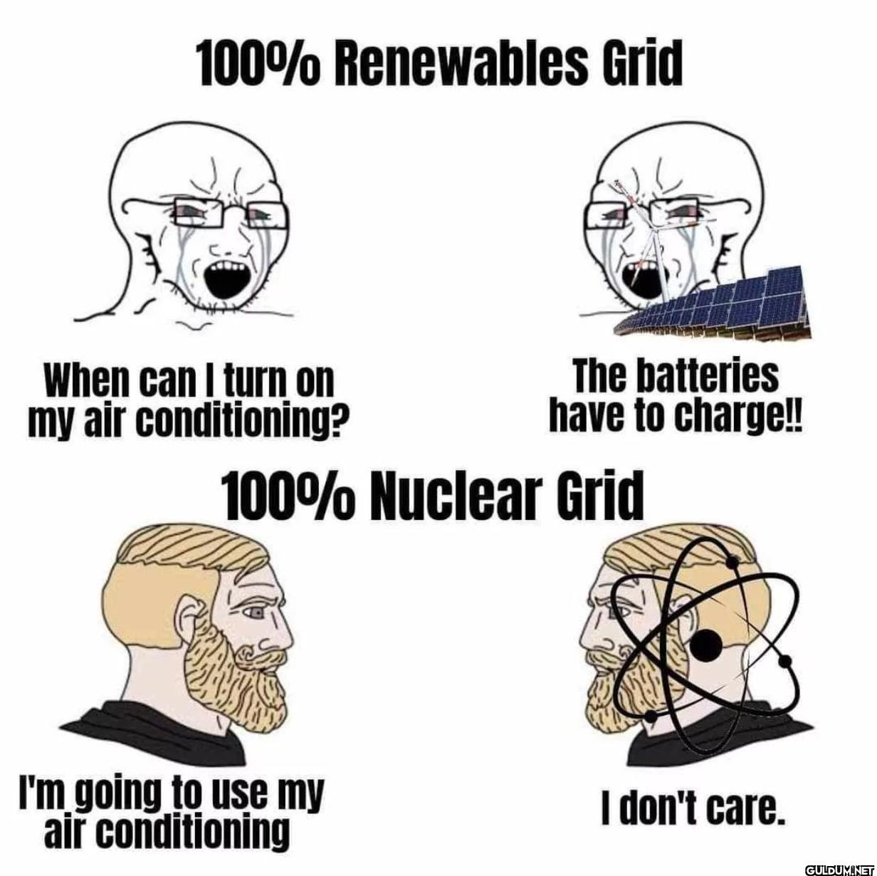 100% Renewables Grid When...