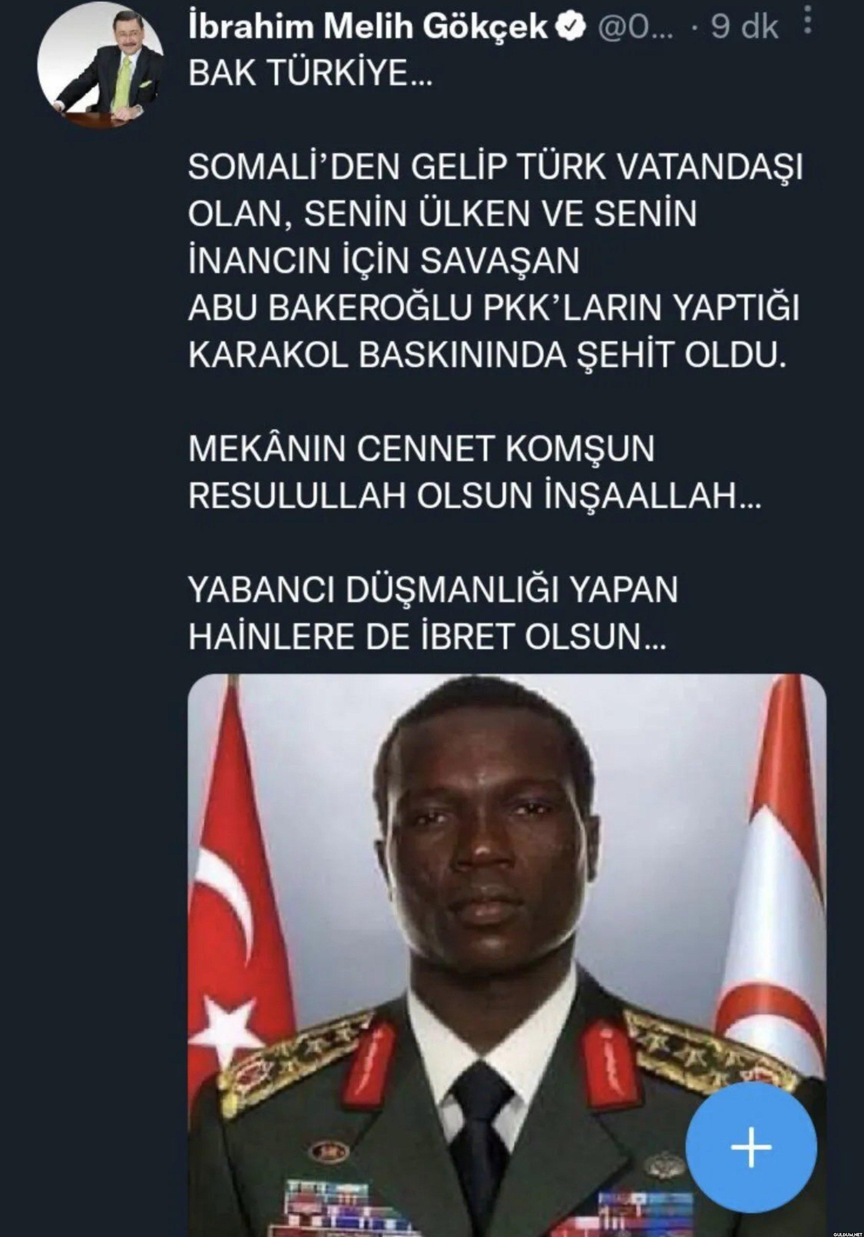 Melih Gökçek, Vincent...