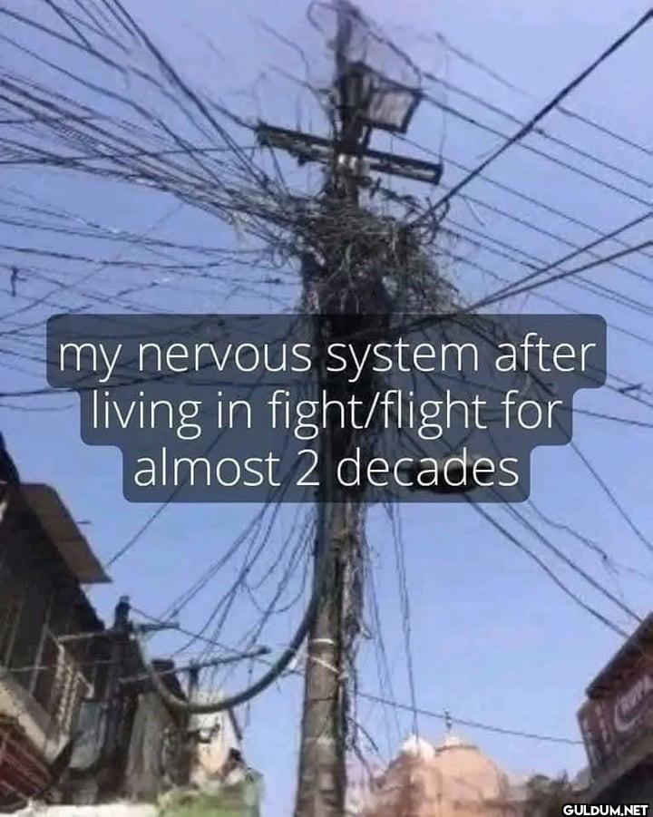 my nervous system after...