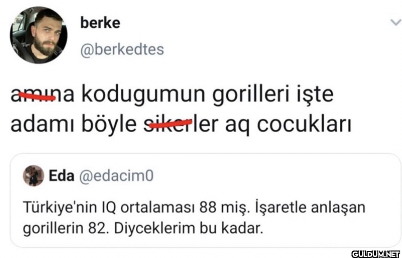 amina kodugumun gorilleri...