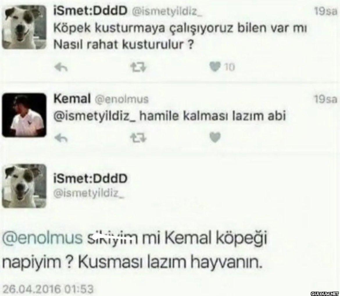Köpek kusturmaya...