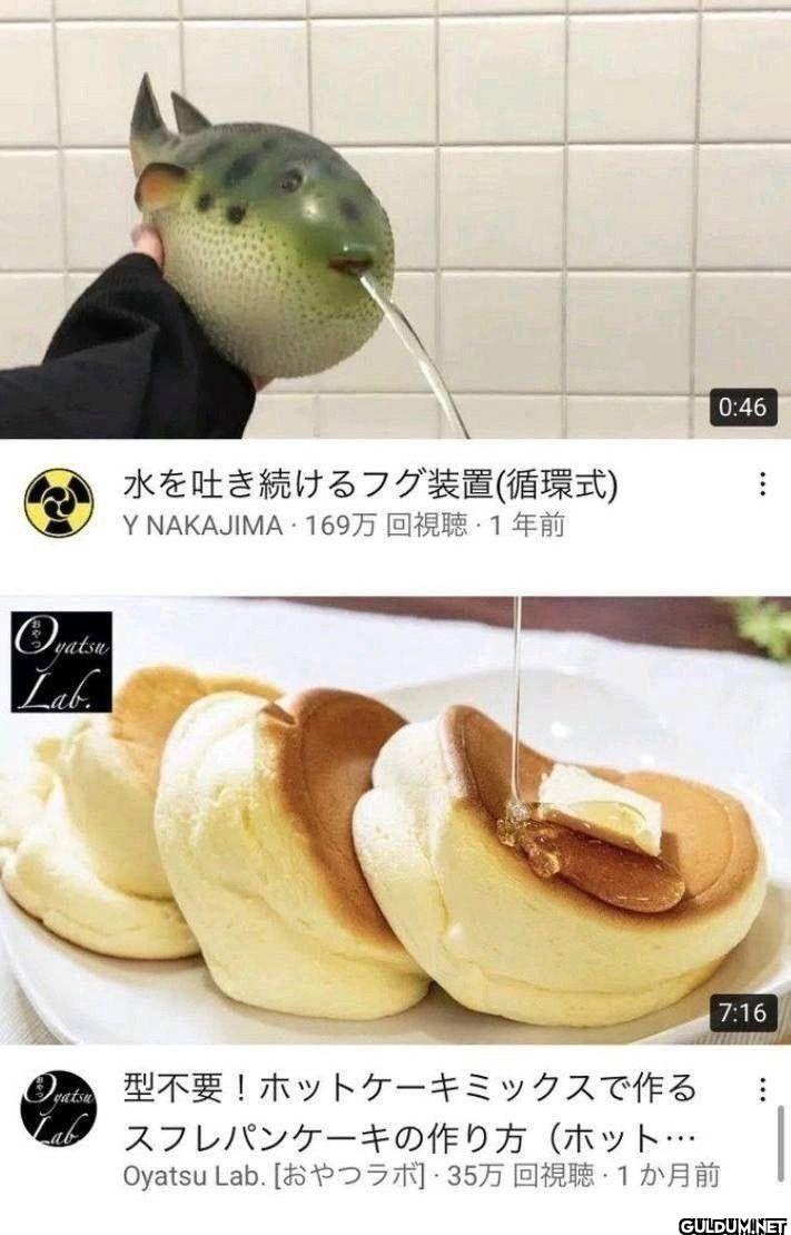 Oyatsu Lab. 水を吐き続けるフグ装置...