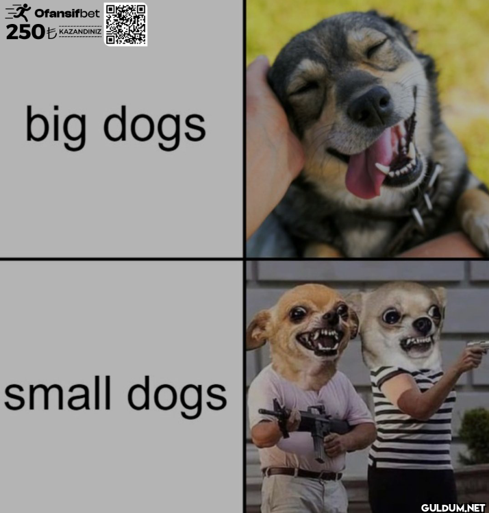 Ofansifbet 250₺ KAZANDINIZ...
