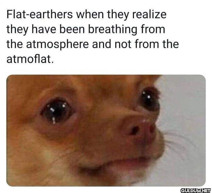 Just gonna leave this...