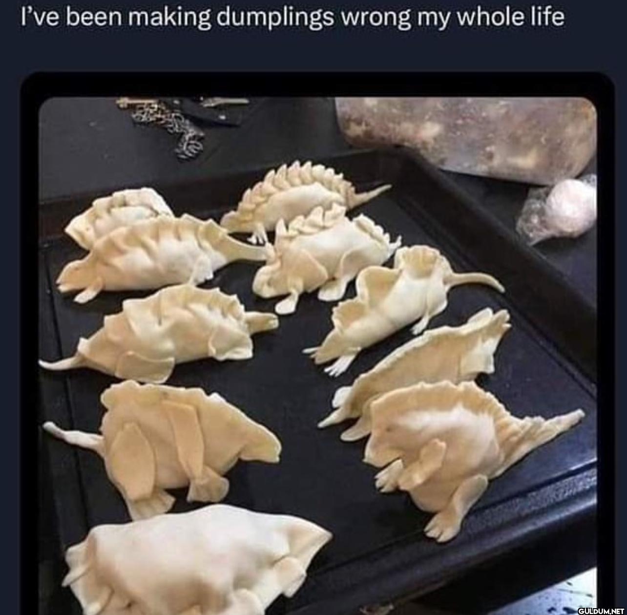 I've been making dumplings...