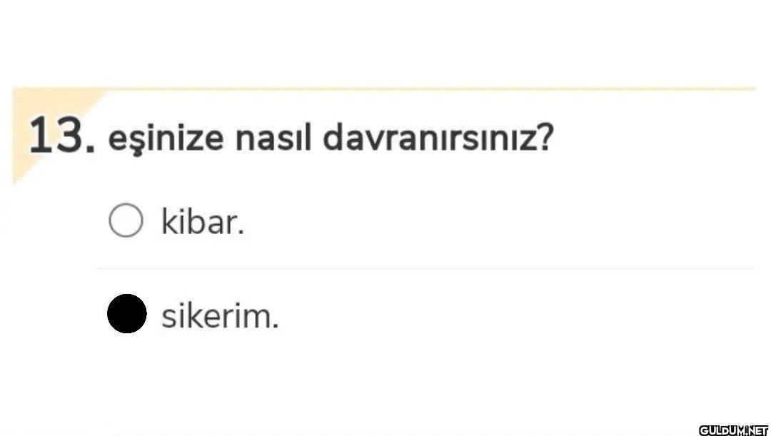 Günaydın    13. eşinize...