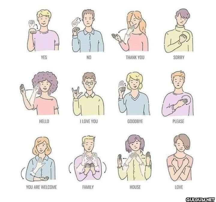 10. Sign Language guide   ...
