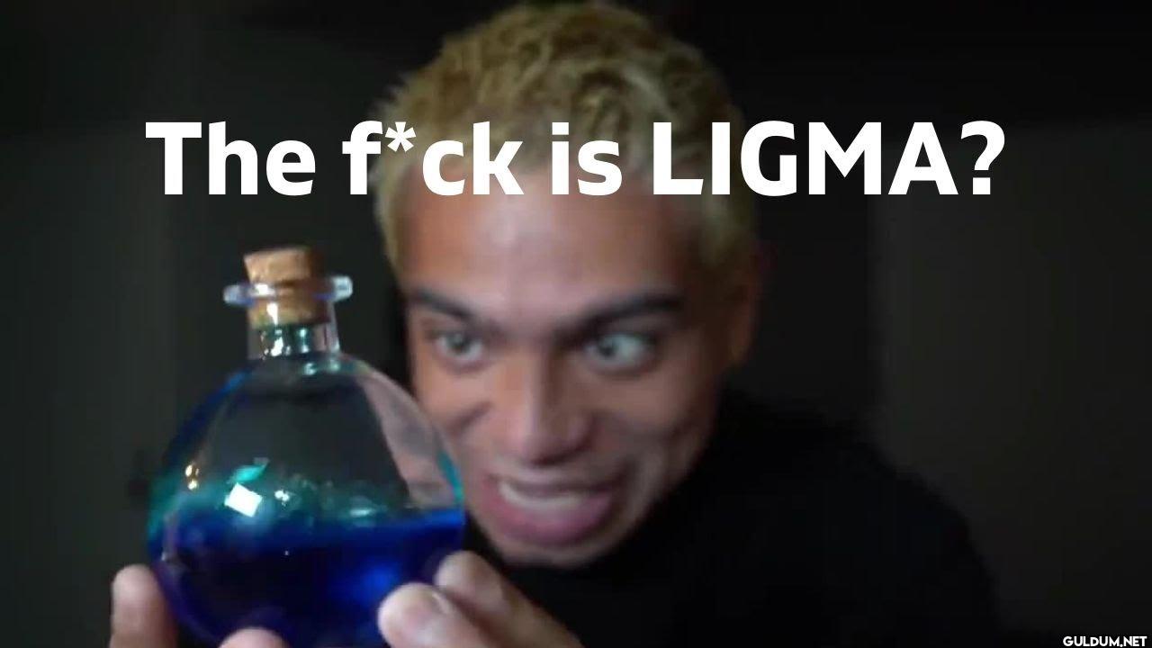 The f*ck is LIGMA?