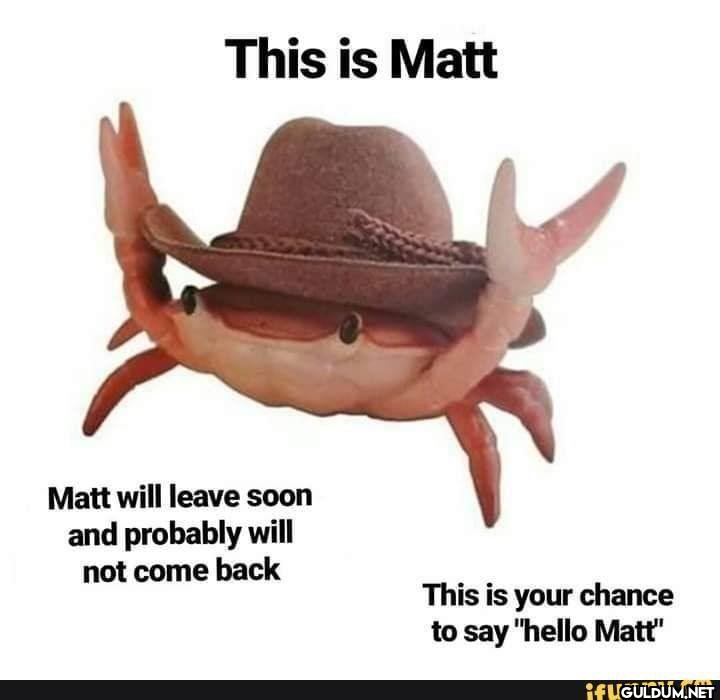 This is Matt Matt will...