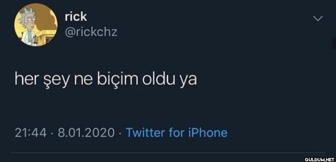 her şey ne biçim oldu ya...