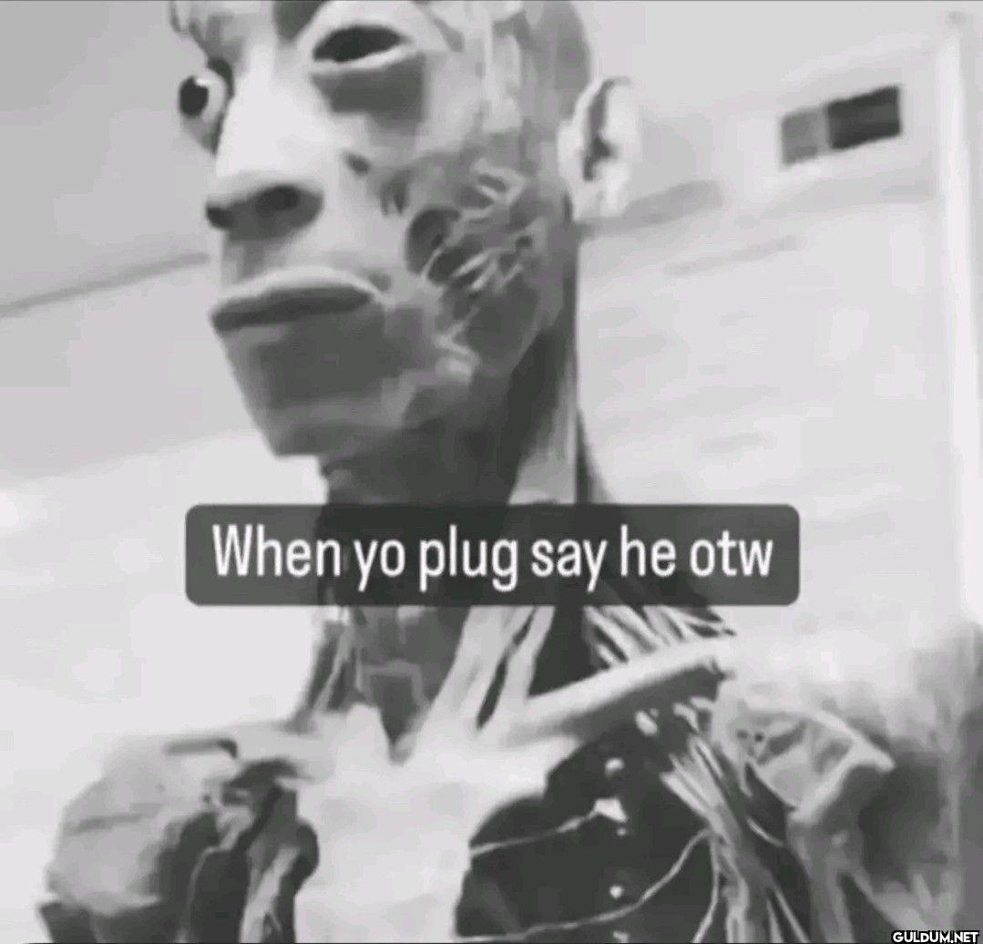 When yo plug say he otw