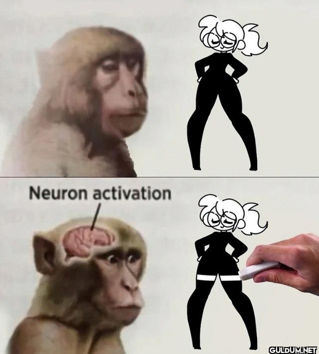 Neuron activation