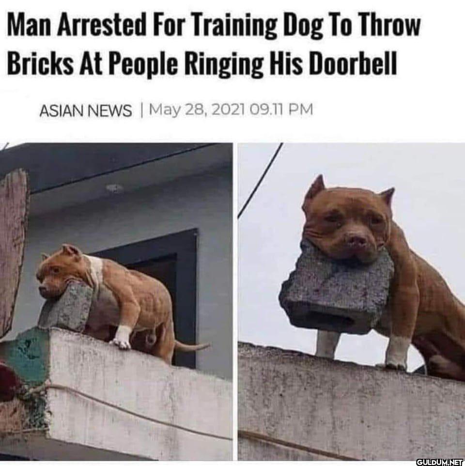 Man Arrested For Training...