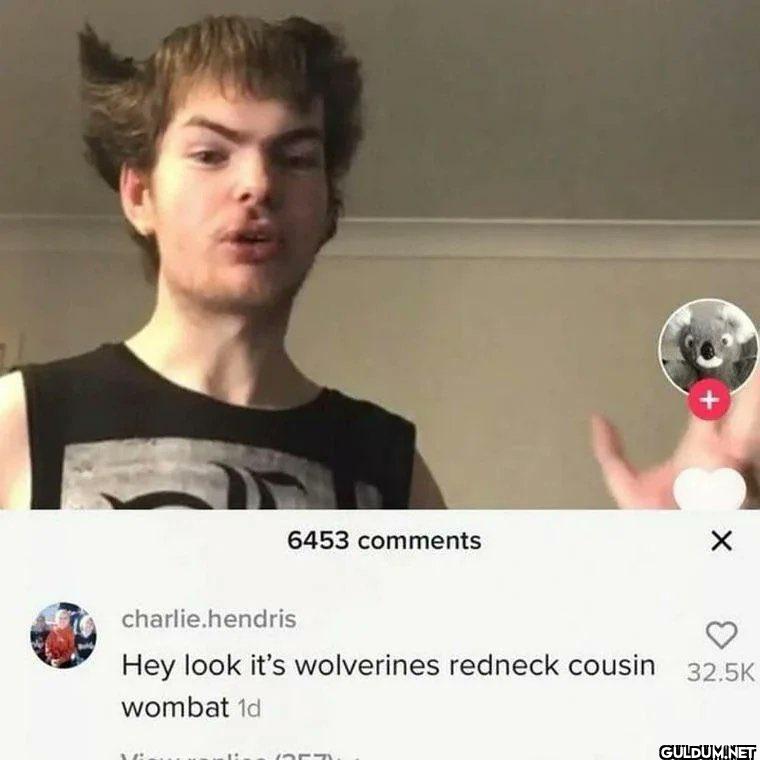 6453 comments +...