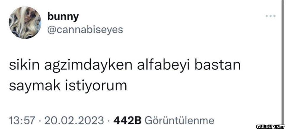 sikin agzimdayken alfabeyi...