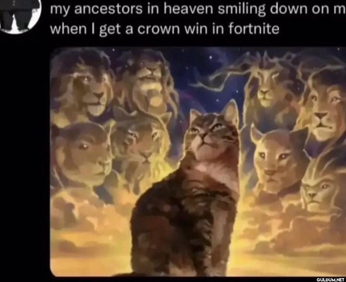 my ancestors in heaven...
