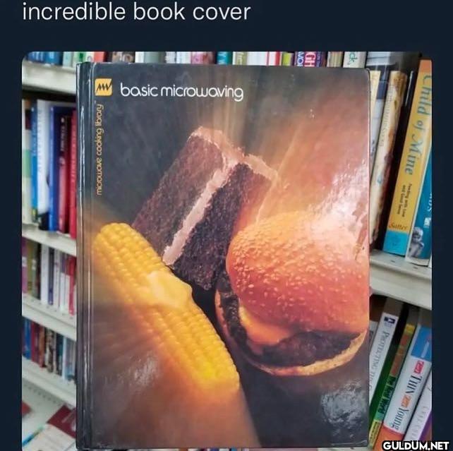 ︎ ︎    incredible book...
