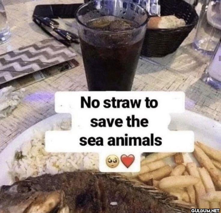 No straw to save the sea animals