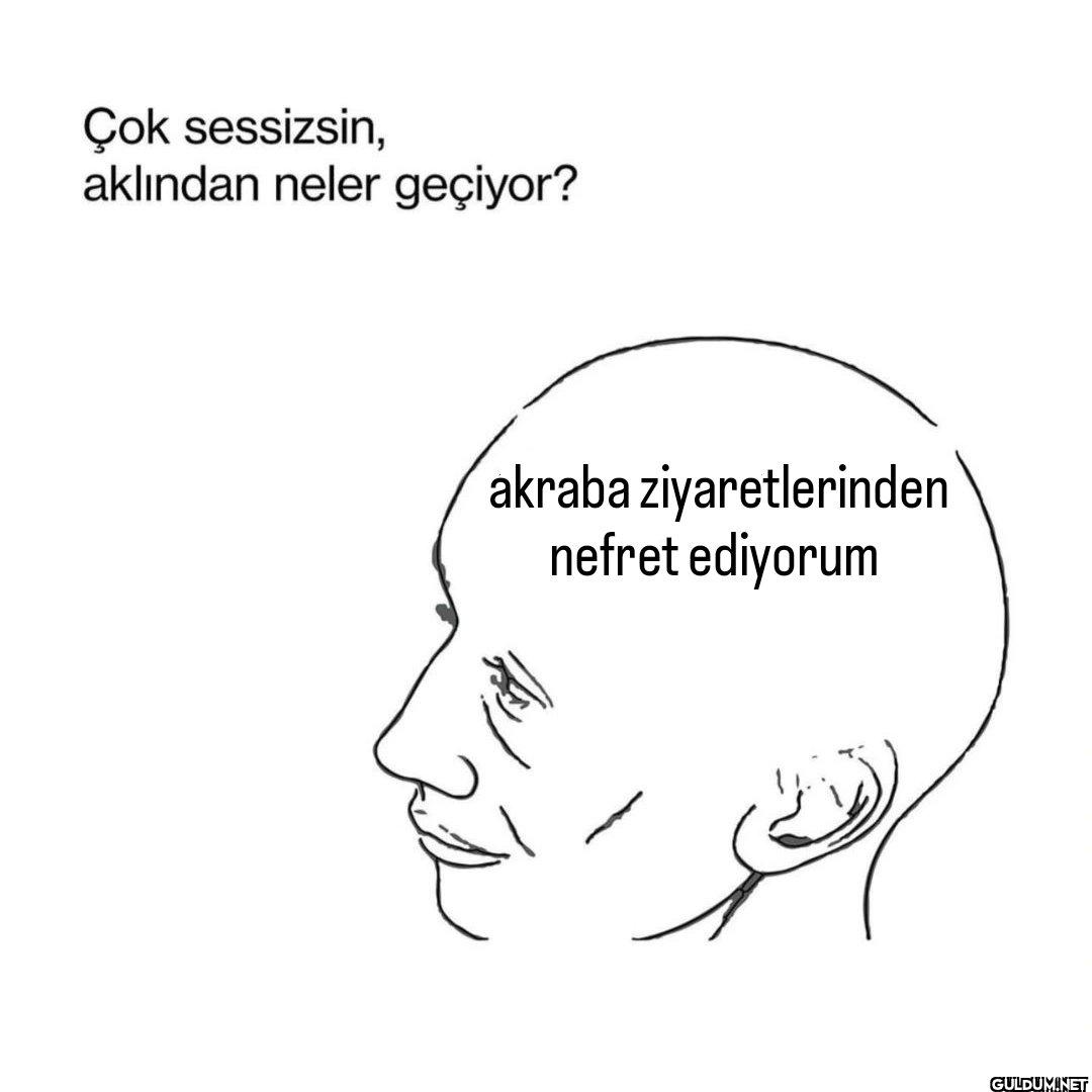 Çok sessizsin, aklından...
