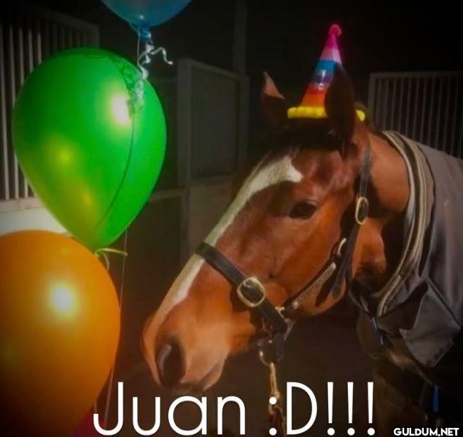 Juan D!!!