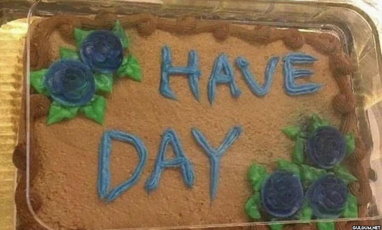 ︎ ︎ ︎︎ ︎ ︎ ︎ ︎ ︎    HAVE DAY