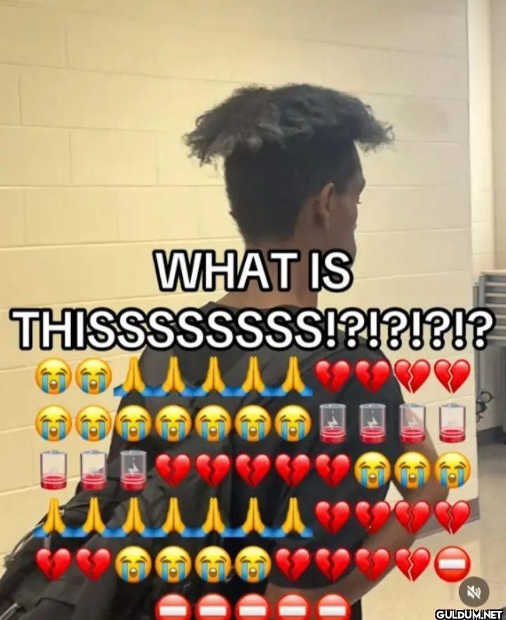 WHAT IS THISSSSSSSS!?!?!?!?
