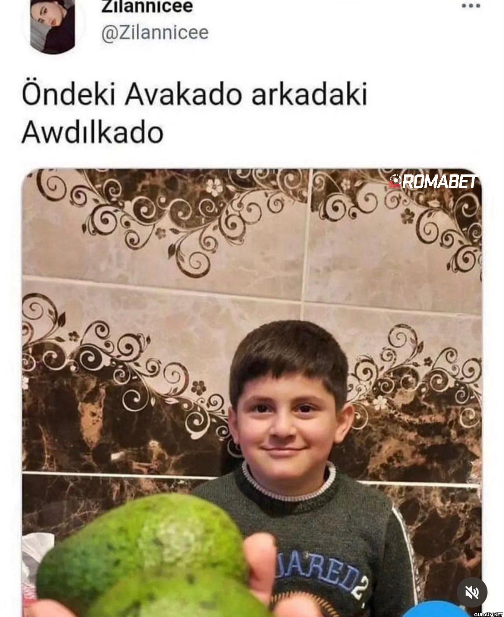 Öndeki Avakado arkadaki...
