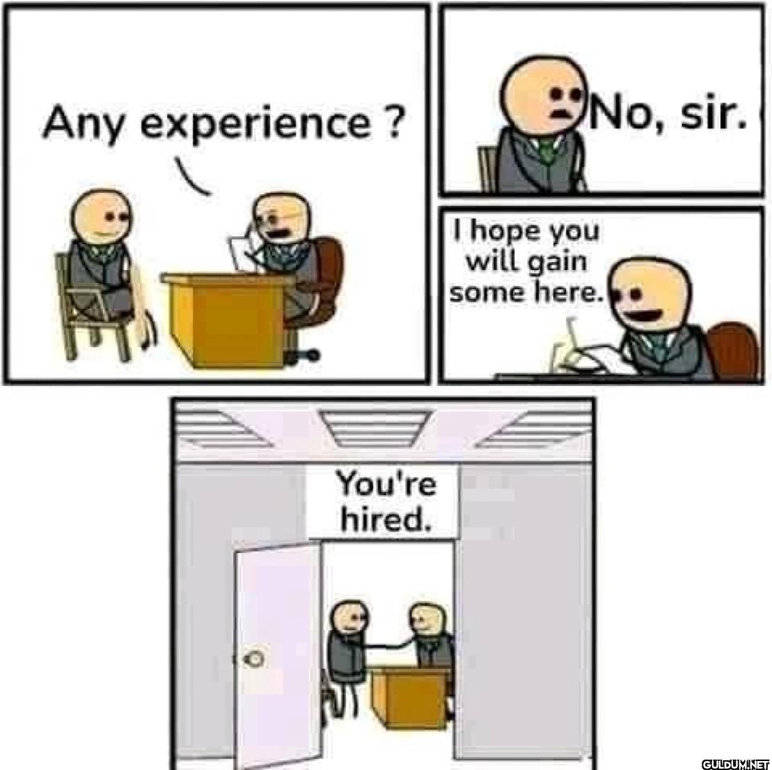 No, sir. Any experience? I...