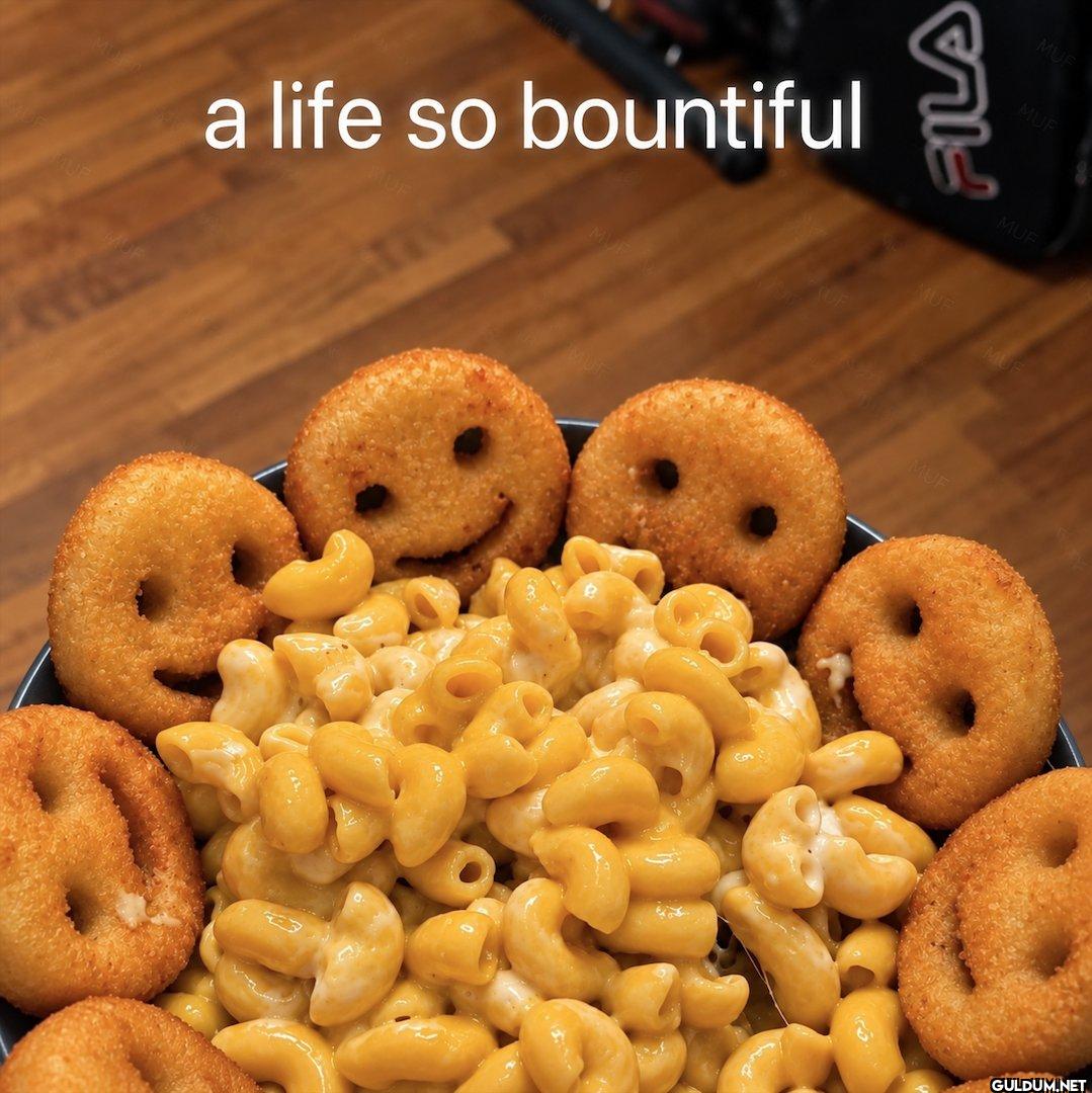 a life so bountiful