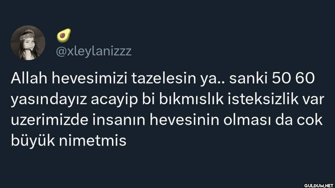 Allah hevesimizi tazelesin...