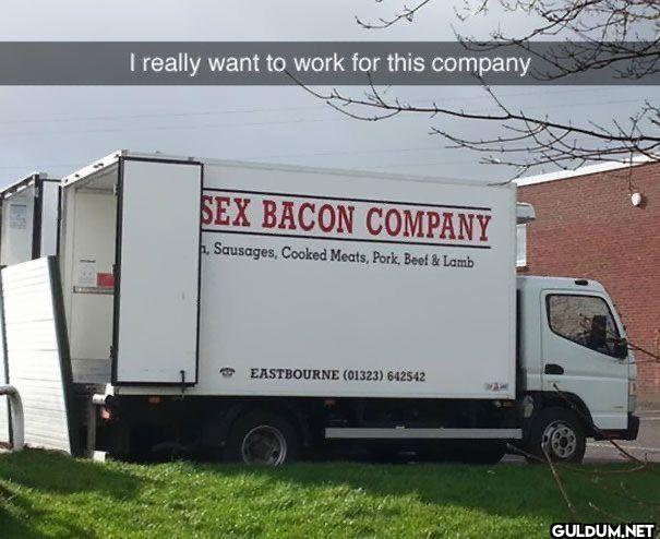 I really want to work for...