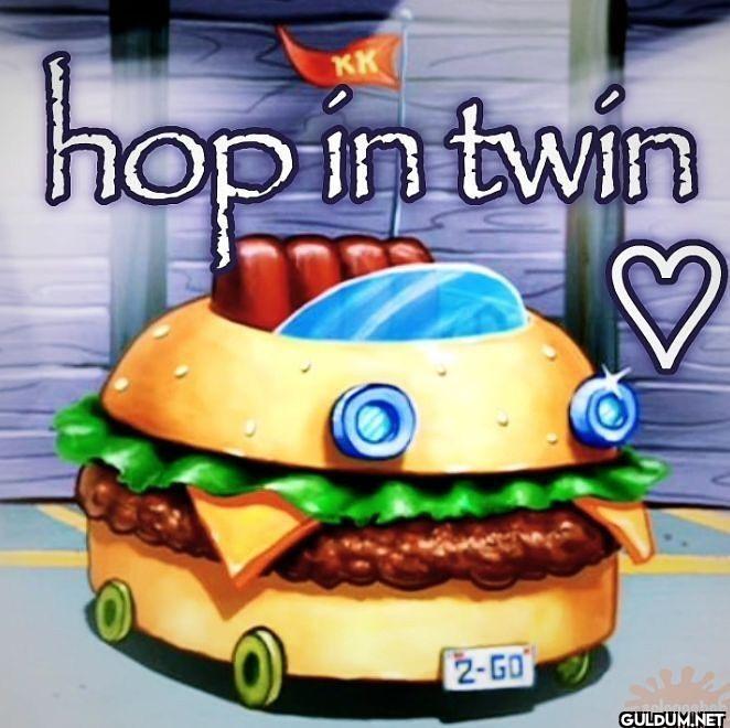 hop in twin