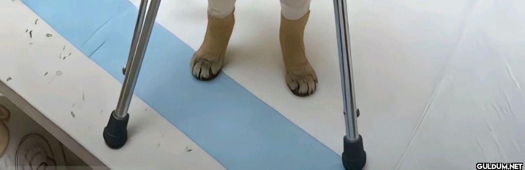 resme tıkladığınızda sizi...