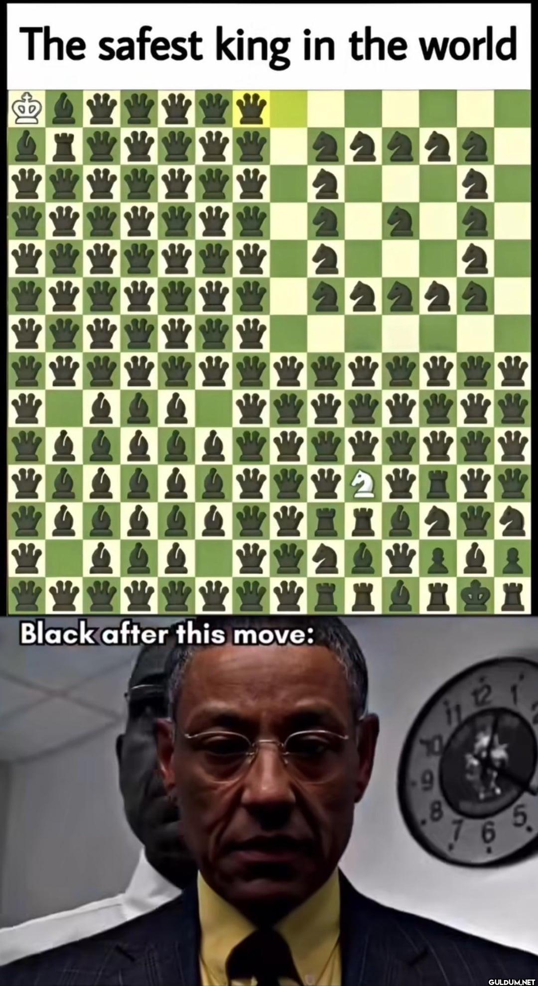 The safest king in the...