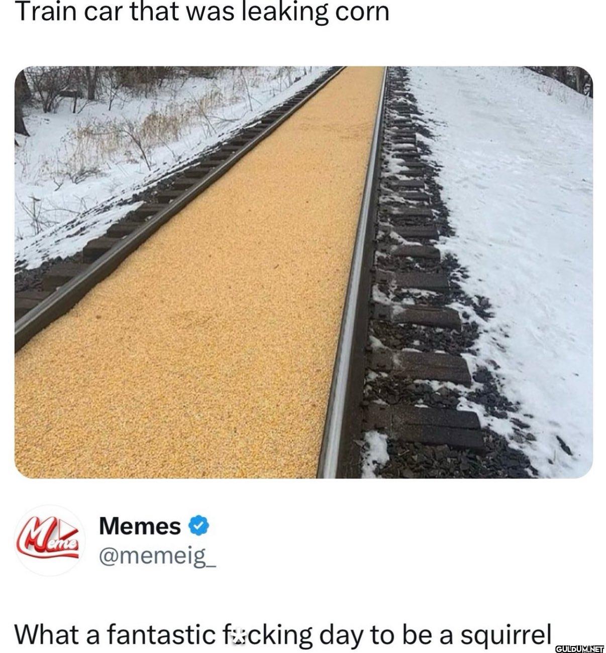 Not for Peanut 🐿️    Train...