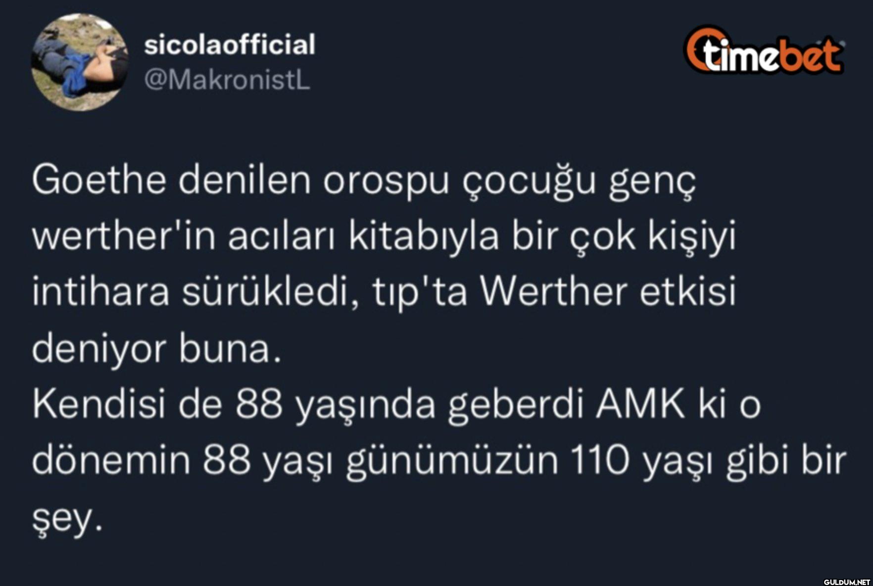 timebet Goethe denilen...