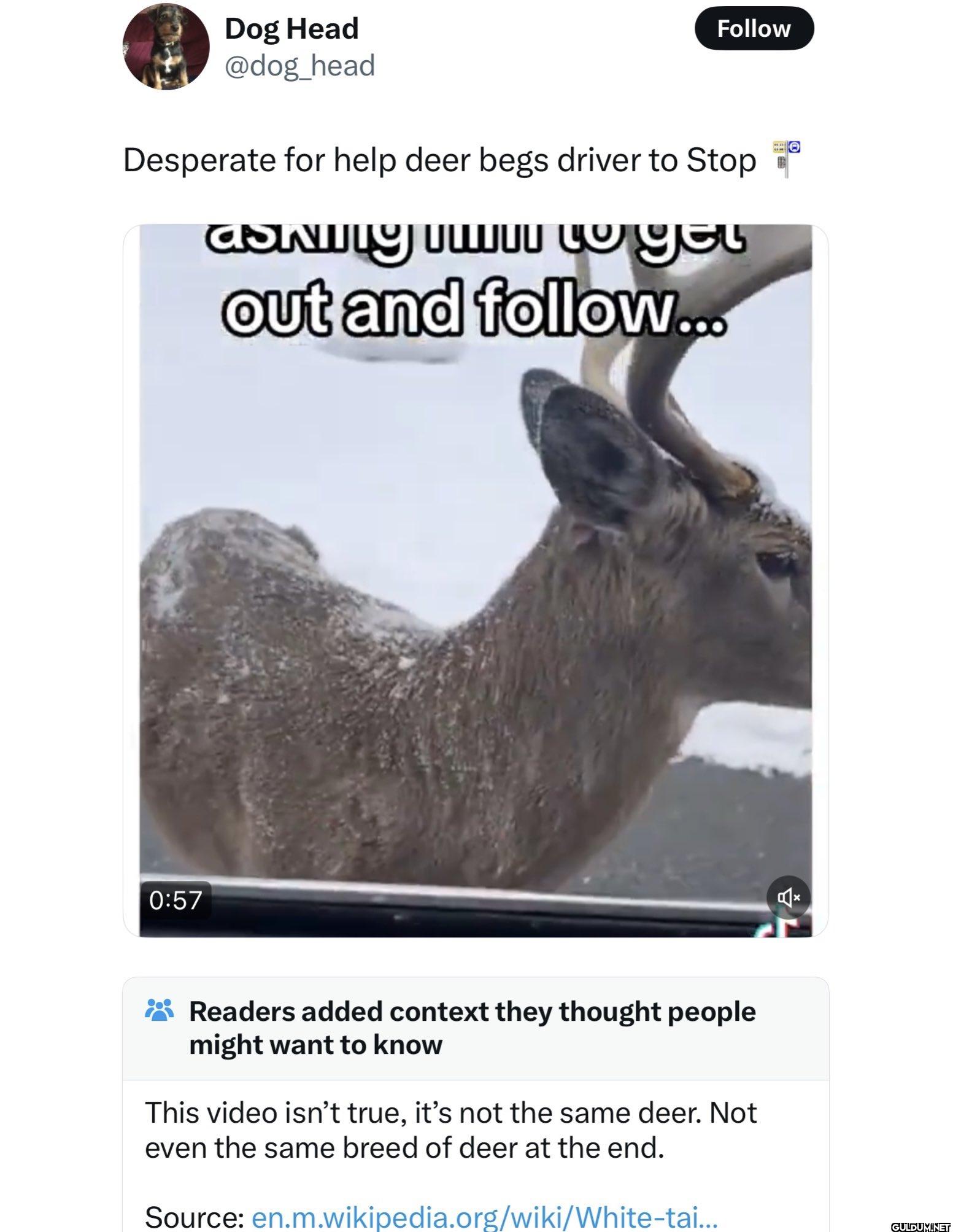 Follow Desperate for help...