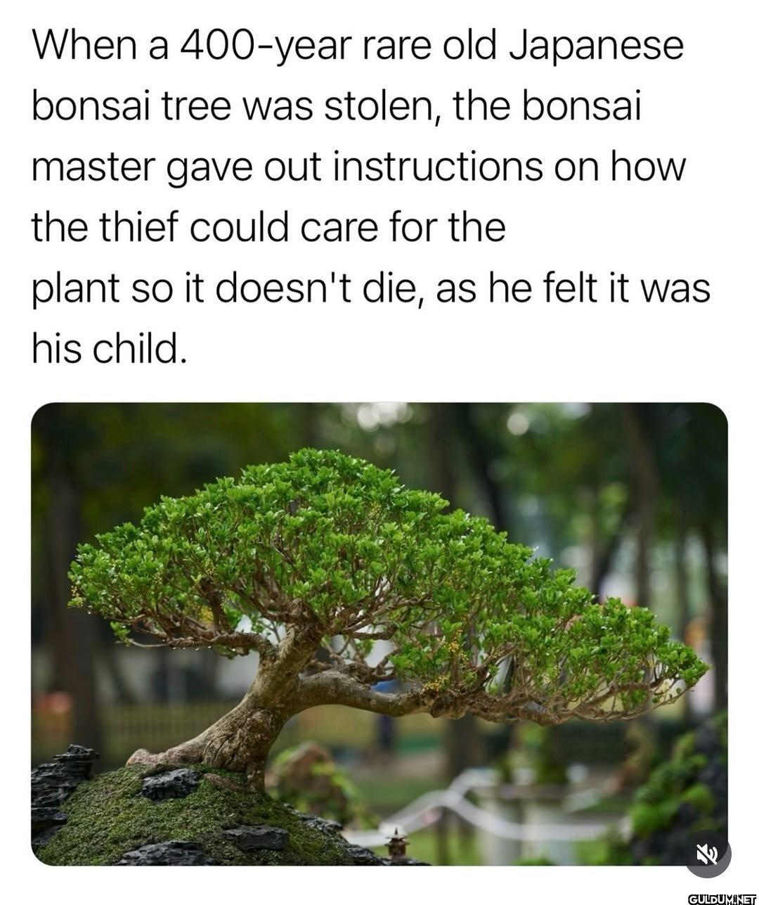 When a 400-year rare old...