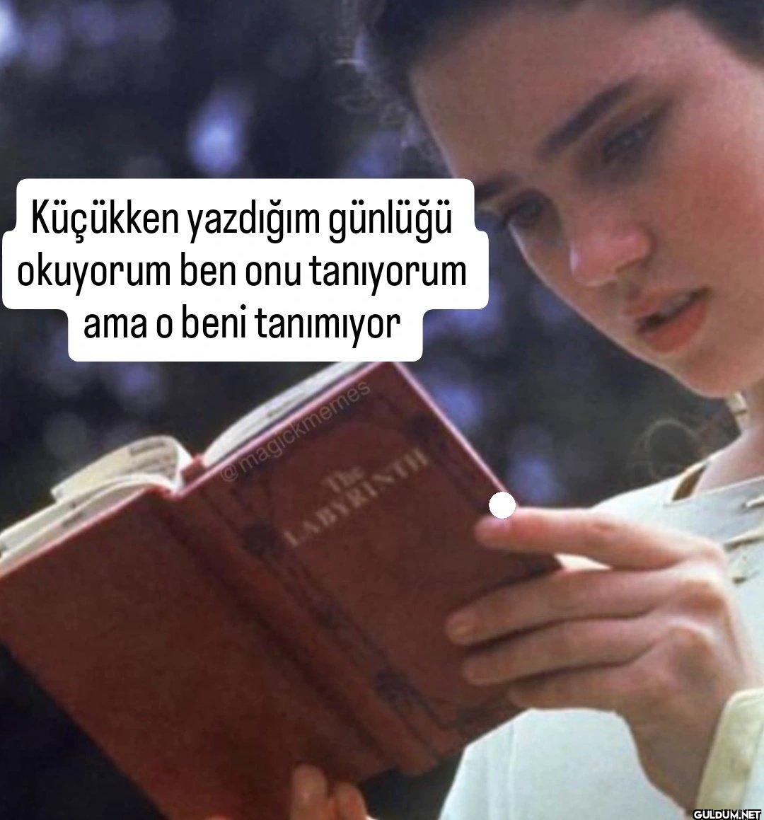 Küçükken yazdığım günlüğü...