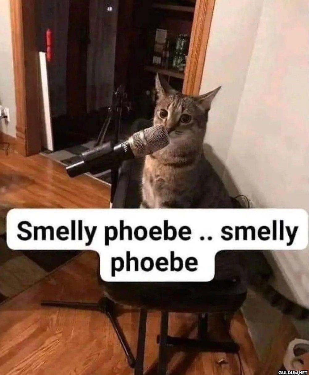 Smelly phoebe.. smelly phoebe